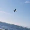 roberto urzua - @roberto10urzua - TikTok