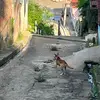 Roberto Valerio389 - @robertovalerio389 - TikTok
