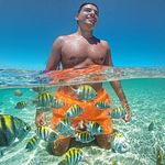 Roberto Velarde - @robertovelarde1 - Instagram