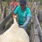 Roberto Vences - Facebook