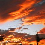 Roberto Vences Barranco - @vences013 - Instagram