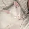 Robertovenegas - @robertovenegas177 - TikTok
