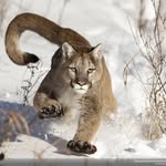 Roberto Venturi - @roberto.venturi1953 - Instagram