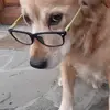 robertoventuri66 - @robertoventuri66 - TikTok
