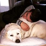 Rob - @robertovincent - Instagram