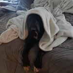 Robert Ward - @robert_o_ward - Instagram