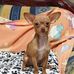 Roberto Yepez - Facebook