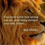 Roberto Young - @kaneeno - Instagram