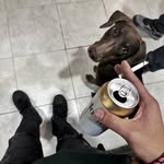 Roberto Zermeño - @zermenorobert0 - Instagram
