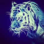 Roberto Zermeno - @robertotheboss2 - Instagram
