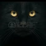 Roberto Zermeño Reyes - @robertozermenoreyes - Instagram
