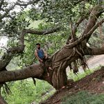 Robin Abbott - @robin_abbott_csso - Instagram