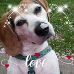 Robin Abbott - @robin.abbott.79 - Instagram