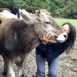 Robin Abramo - @robin.abramo - Instagram