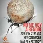 Robin Acosta - Facebook