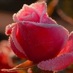 Robin Dawn Addington - @ca.rda.schulze - Instagram