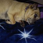 Robin Adkins - @robin.adkins.3511 - Instagram