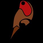 Robin Agani Music - @robinagani - Instagram