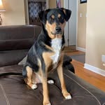 Robin K. Ahrens - @rkahrens24_7 - Instagram