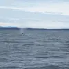 Robin Akers - @robin.akers5 - TikTok