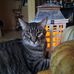 Robin Amburgey - Facebook