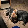 ronamburgey966 - @ronamburgey966 - TikTok