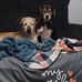 Robin Ansell - Facebook