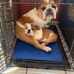 Robin L. Stansell - @robinlstansell - Instagram