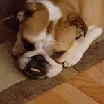 Robin Arndt - @monstrrmom - Instagram