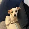 robinarndt66 - @birdie66 - TikTok