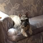 Robin Arnott - @robin.arnott.1 - Instagram