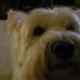 Robin Arquette - Facebook
