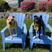 Robin Artz - Facebook