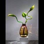 Robin Artz - @artzrobin - Instagram