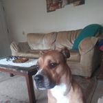 Robin Ashford - @robin.ashford.52 - Instagram