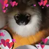 robinashwell - @robinashwell - TikTok