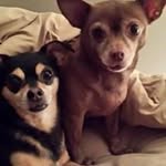 Robin Ayala - @ayala.robin - Instagram