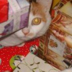 Robin Ayers - @rkn_robinyahoocom - Instagram