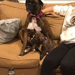 Robin Ayers - @robin.ayers.14 - Instagram
