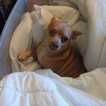 Robin Ayers - @robinlove19681 - Instagram