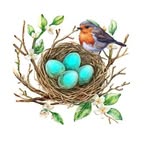 Robin Lynn Baden - @robins_nest_handmade_treasures - Instagram