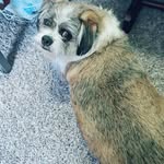 Robin Bailey - @robinbailey9669 - Instagram