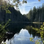 Robin Bailey - @rawbeanb - Instagram