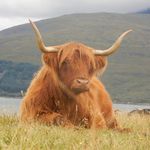 Robin baker - @up_the_wild_side - Instagram