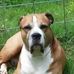 Robin B. Baldridge - Facebook
