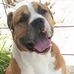 Robin Baldridge - Facebook