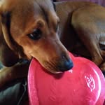 Robin Bales - @robin.bales.79 - Instagram