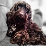 Robin S Ballantine - @boywonder365 - Instagram