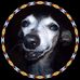 Robin Ballard - Facebook