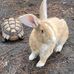 Robin Barr - Facebook